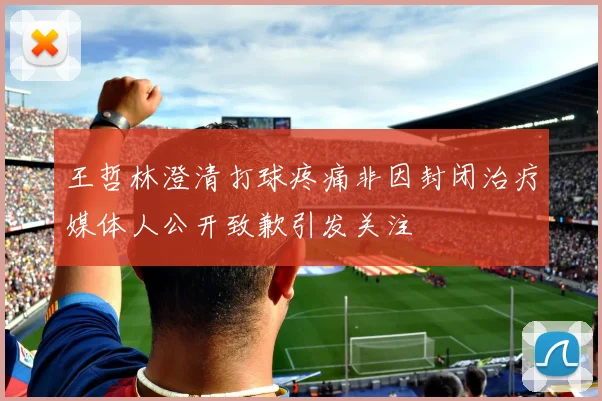 王哲林澄清打球疼痛非因封闭治疗媒体人公开致歉引发关注